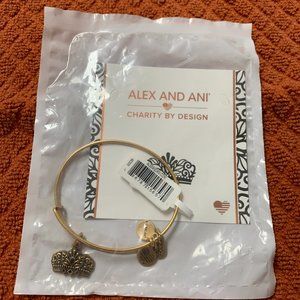Alex and Ani Charity By Design Queens Crown IV Rafaelian Gold Charm Bangle NWT